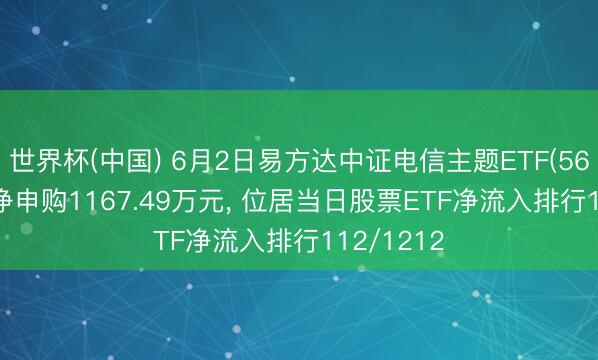 世界杯(中国) 6月2日易方达中证电信主题ETF(563010)获净申购1167.49万元， 位居当日股票ETF净流入排行112/1212
