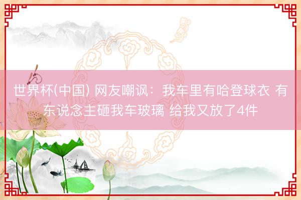 世界杯(中国) 网友嘲讽：我车里有哈登球衣 有东说念主砸我车玻璃 给我又放了4件