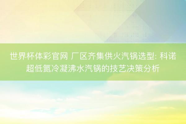 世界杯体彩官网 厂区齐集供火汽锅选型: 科诺超低氮冷凝沸水汽锅的技艺决策分析
