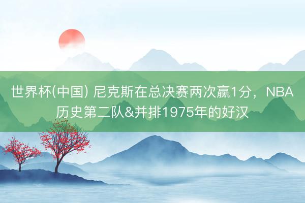 世界杯(中国) 尼克斯在总决赛两次赢1分，NBA历史第二队&并排1975年的好汉