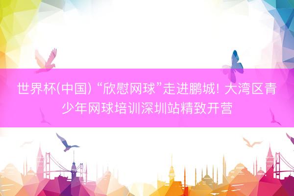 世界杯(中国) “欣慰网球”走进鹏城! 大湾区青少年网球培训深圳站精致开营