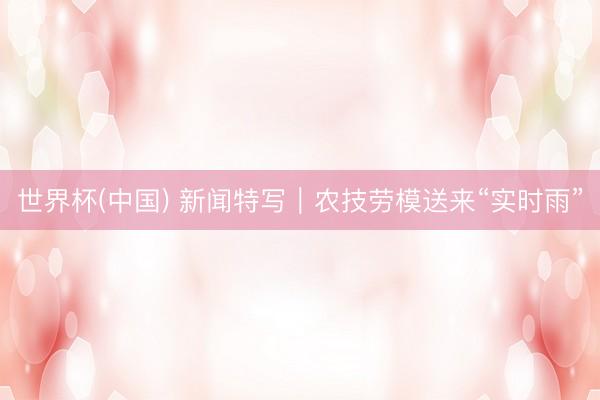 世界杯(中国) 新闻特写｜农技劳模送来“实时雨”