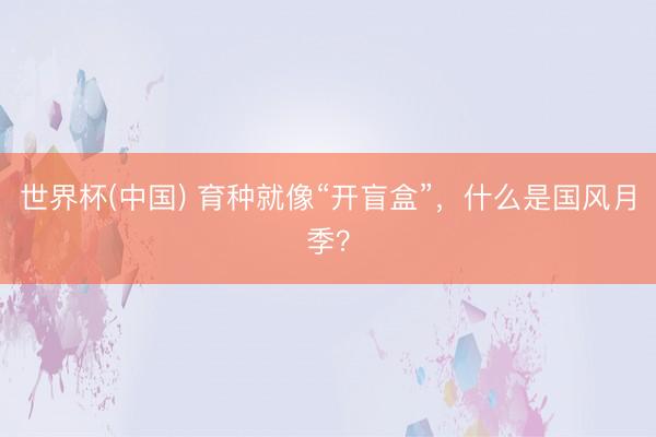 世界杯(中国) 育种就像“开盲盒”，什么是国风月季？