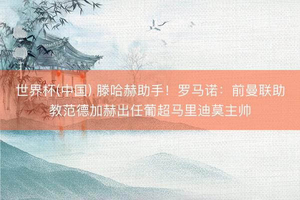 世界杯(中国) 滕哈赫助手！罗马诺：前曼联助教范德加赫出任葡超马里迪莫主帅