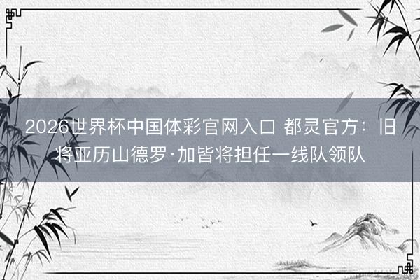 2026世界杯中国体彩官网入口 都灵官方：旧将亚历山德罗·加皆将担任一线队领队
